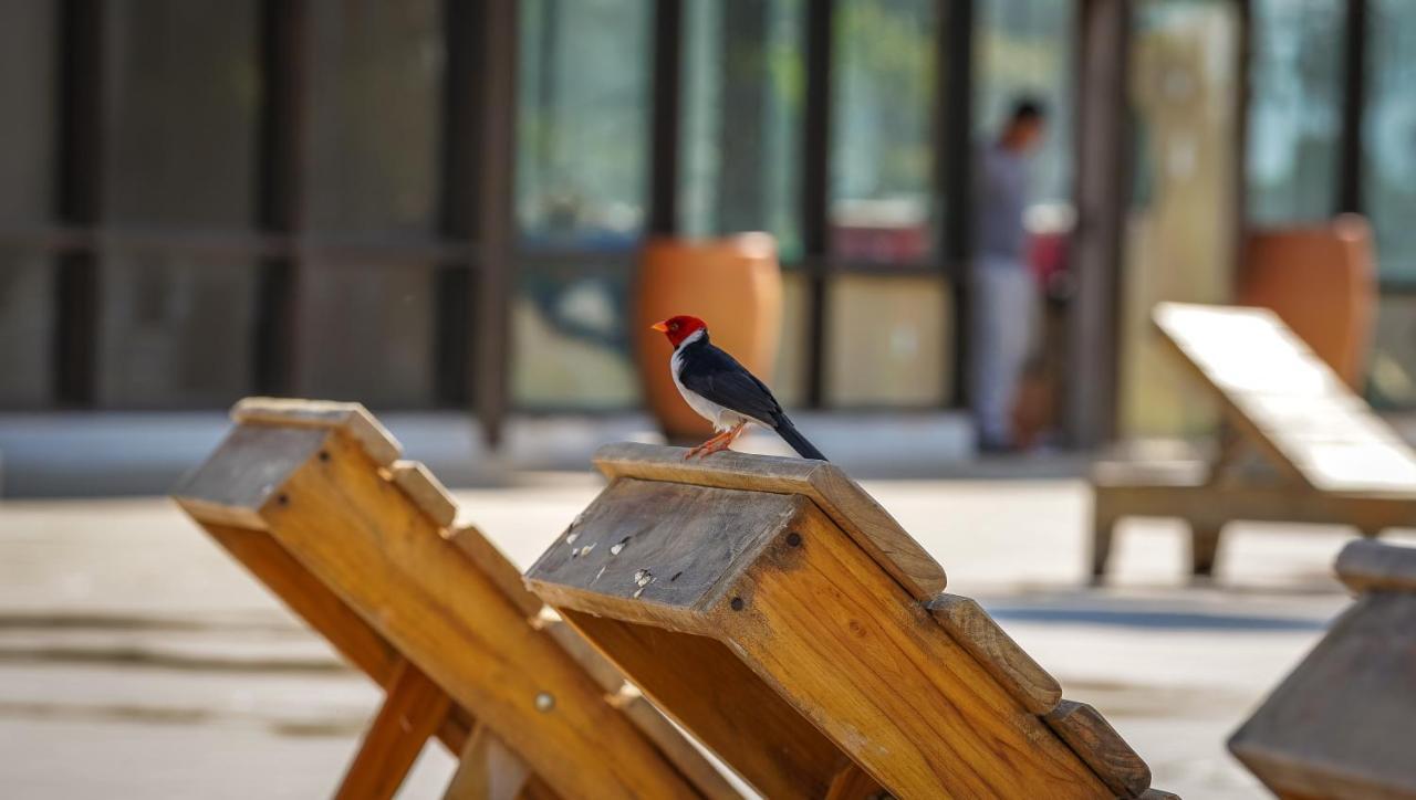 Porto Jofre Santa Rosa Pantanal Hotel المظهر الخارجي الصورة